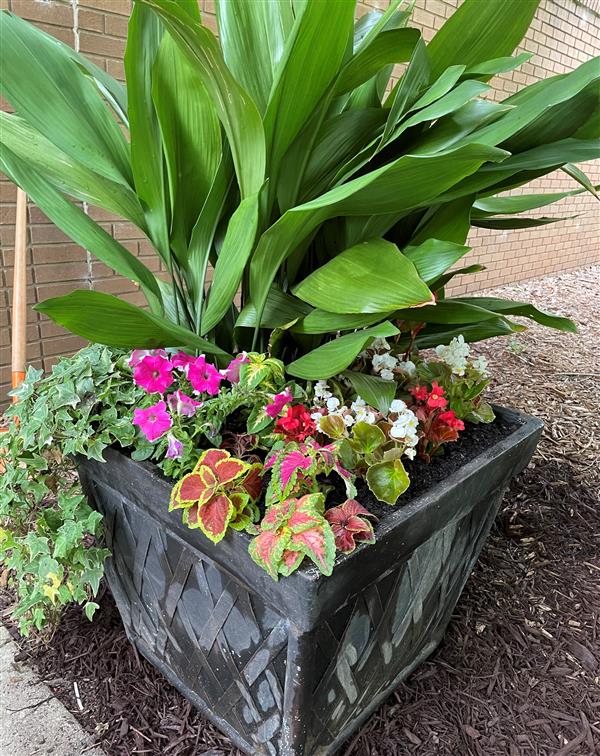 Beautification flower pot in front of building 119